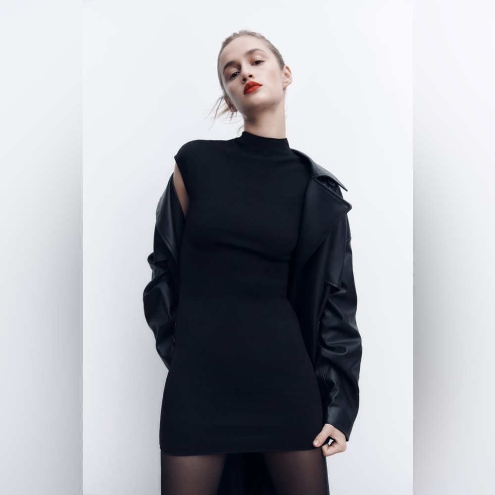 Zara Short Stretch Knit Dress